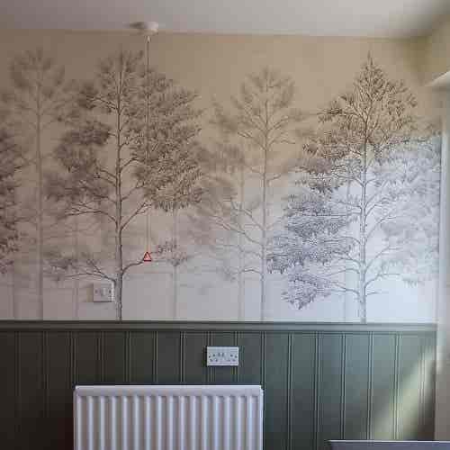 518246911_1279779490609524_360984822998603263_n